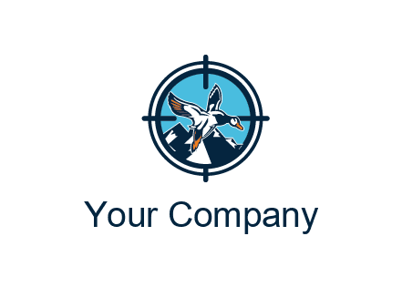 flying duck target